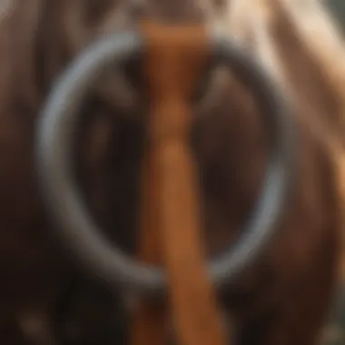 Close-up of a blocker tie ring with livestock