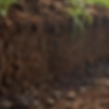 Close-up of soil layers before sod is placed