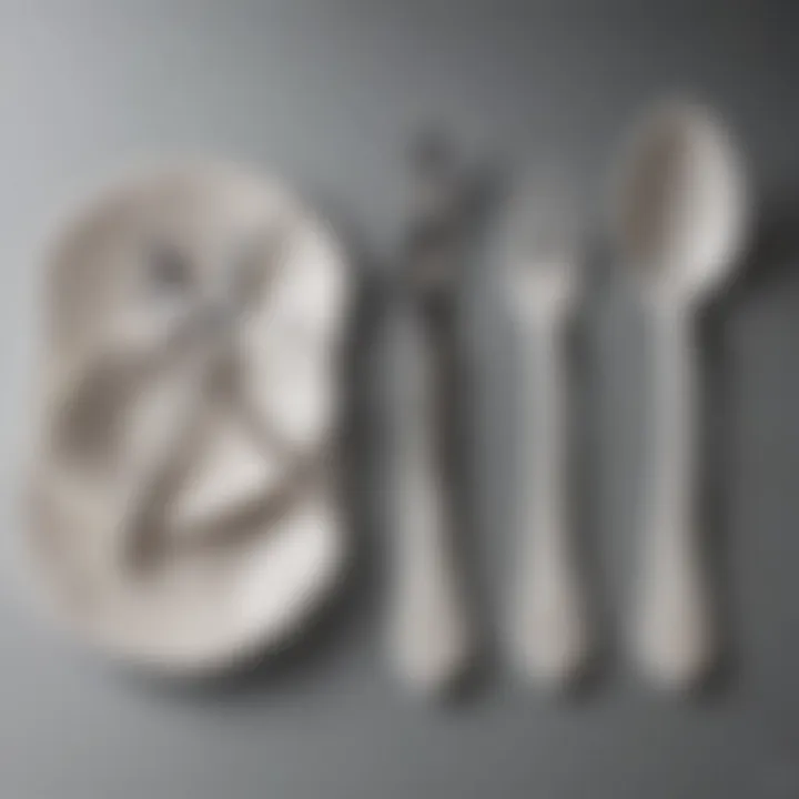 Comparison of white plastic silverware with alternative materials