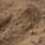 A close-up view of bentonite clay showcasing its texture and color