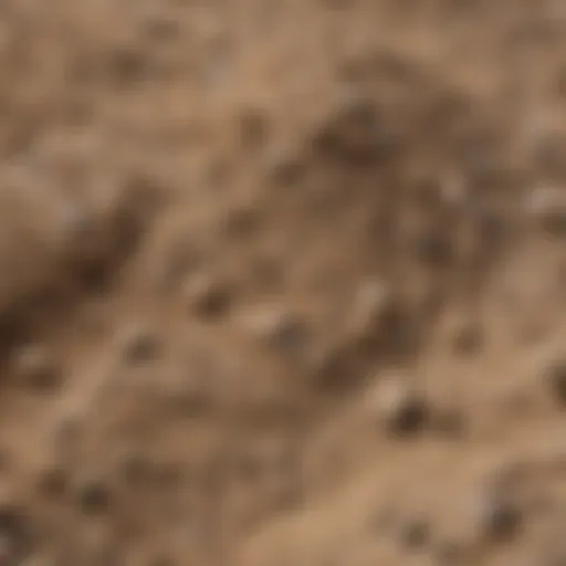 A close-up view of bentonite clay showcasing its texture and color