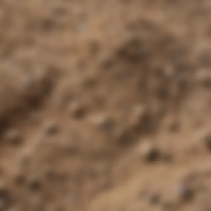 A close-up view of bentonite clay showcasing its texture and color