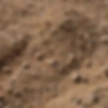 Bentonite Clay Characteristics A close-up view of bentonite clay showcasing its texture and color