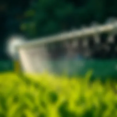 Effective Watering Techniques Irrigation system ensuring effective watering