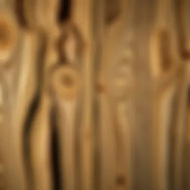 Synthetic vs. Natural Treatments Comparison of synthetic and natural wood treatments